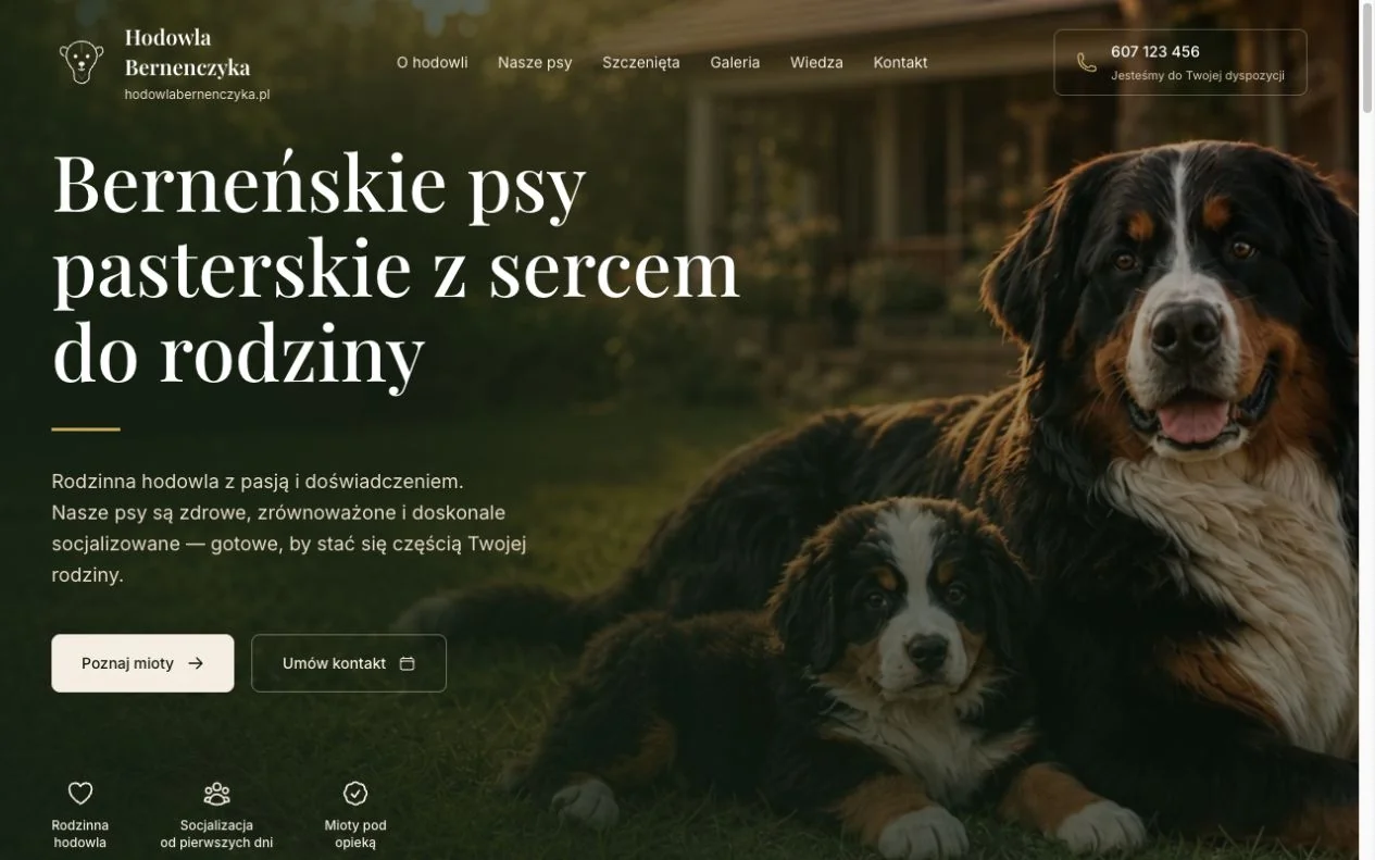 Strona hodowlabernenczyka.pl — aktualny widok na komputerze