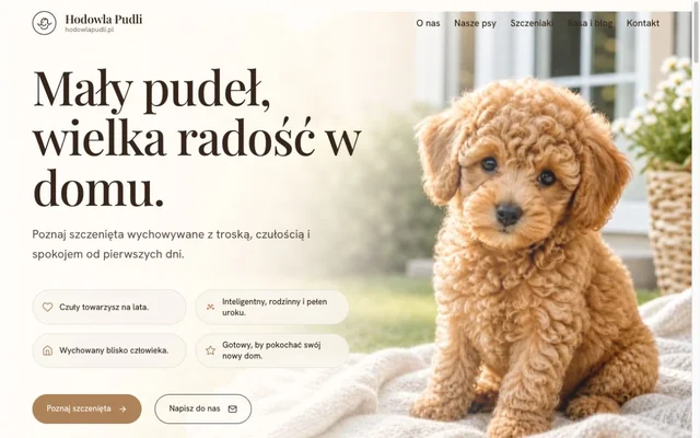 Podgląd strony Hodowla pudli